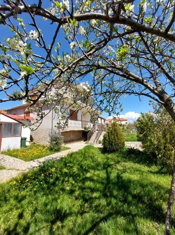 Prespa'S Balcony Guesthouse Dolna Gorica Exteriér fotografie